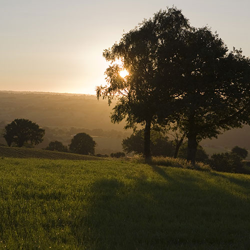 Paysage Ségala